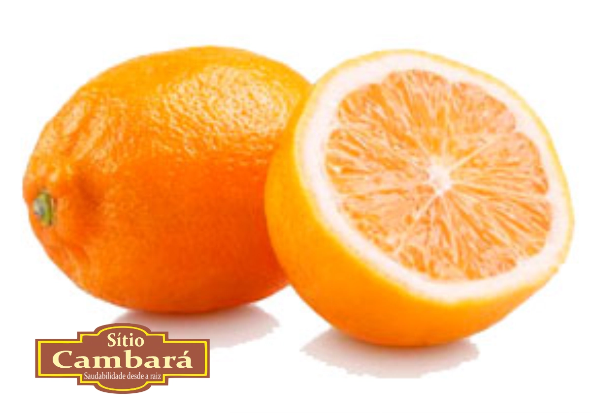Limao Cravo S Cambara Org 500g