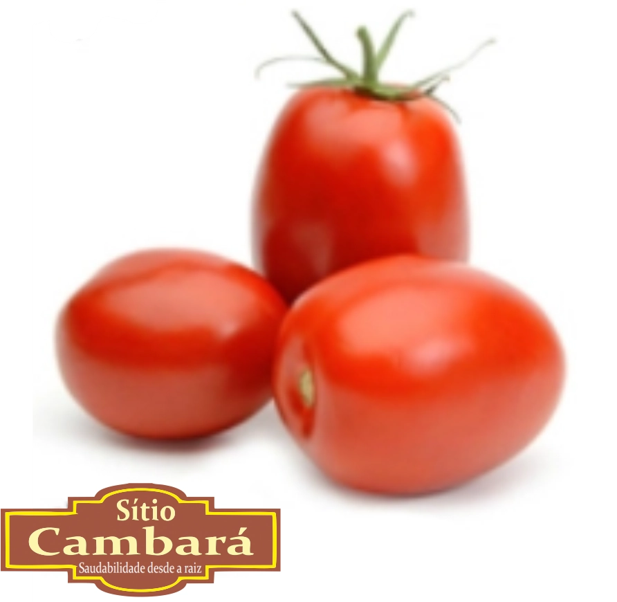 Tomate Org S Cambara 1k