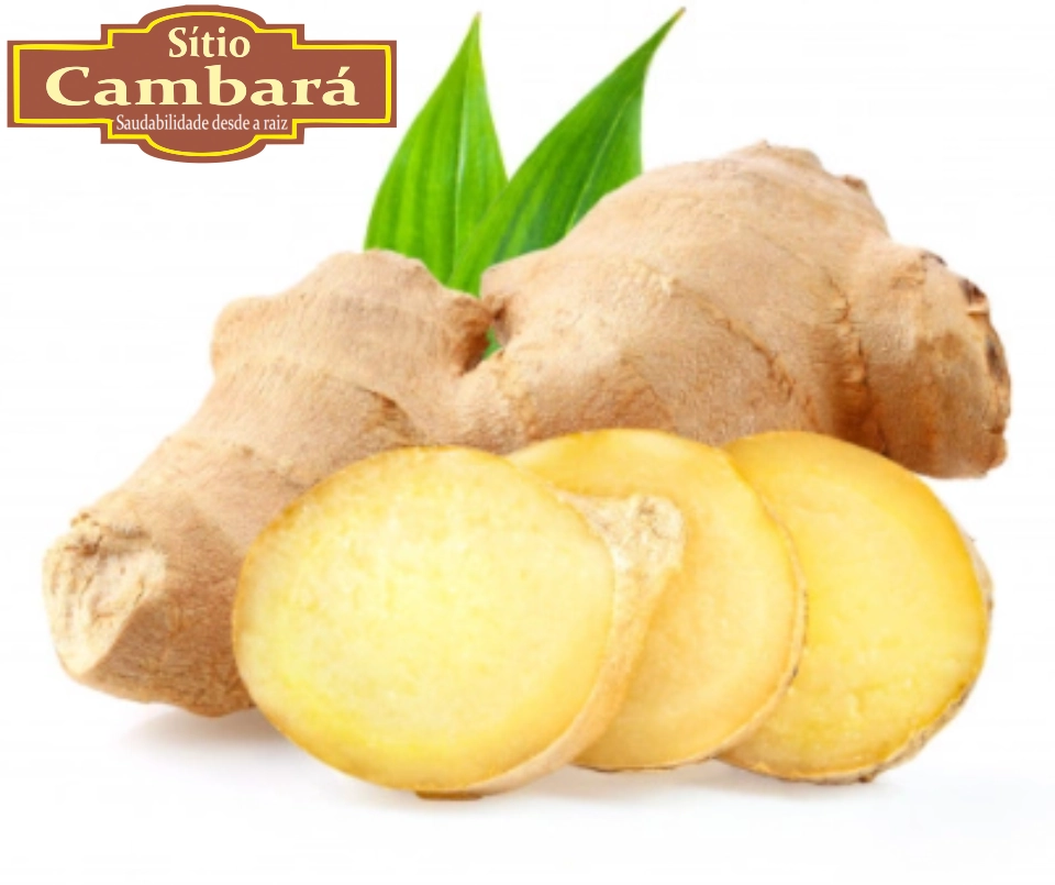 Gengibre Org S Cambara 250g