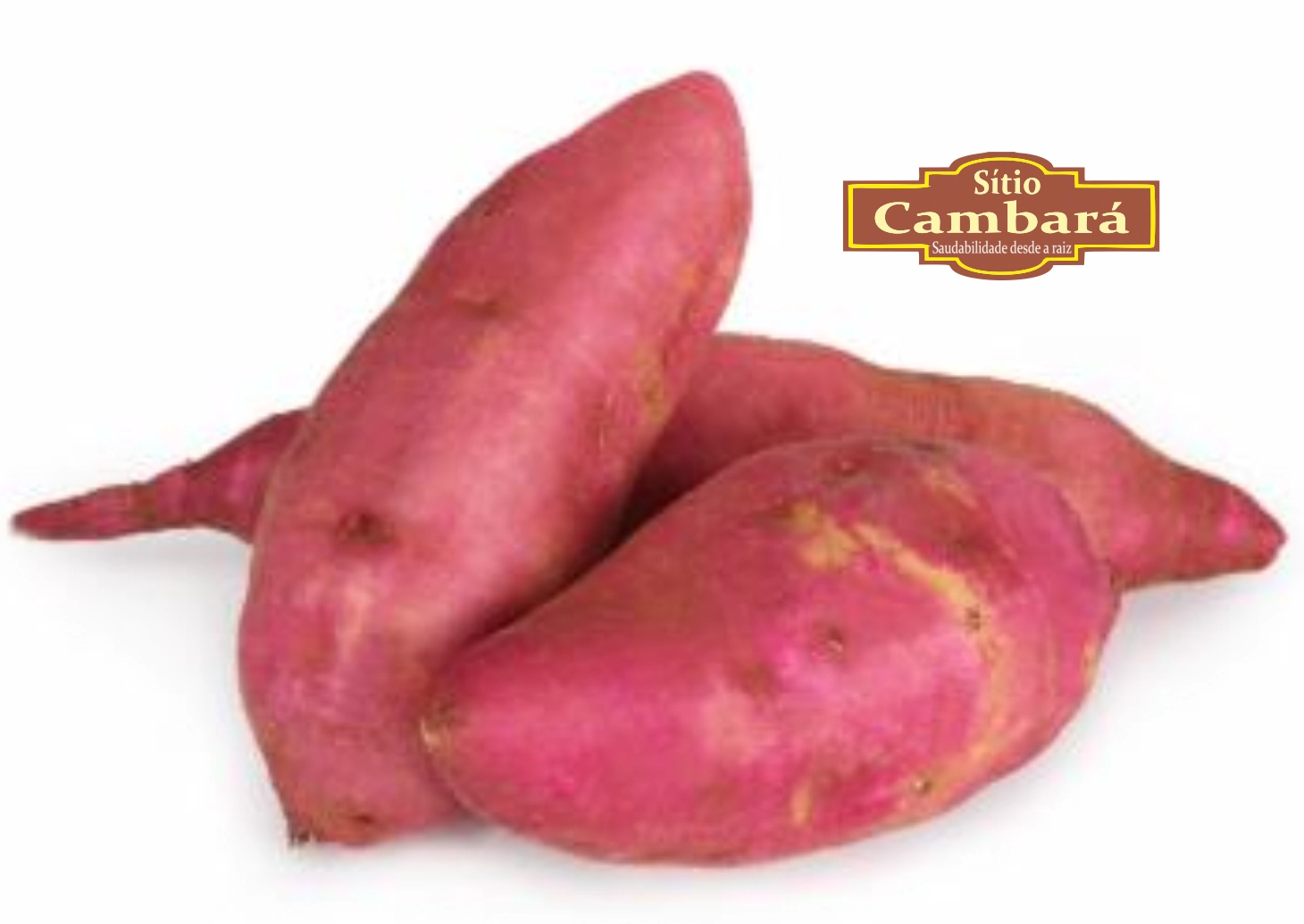 Batata Doce Rosada Org S Cambara 500g