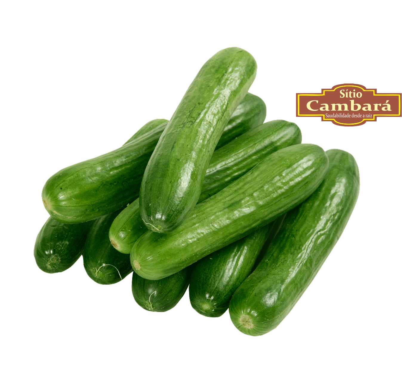 Pepino Org S Cambara 500g
