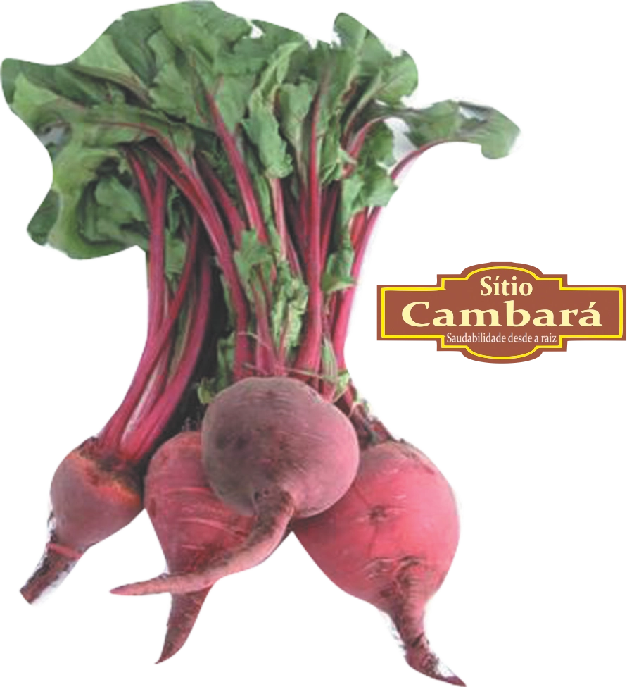 Beterraba Org S Cambara 500g