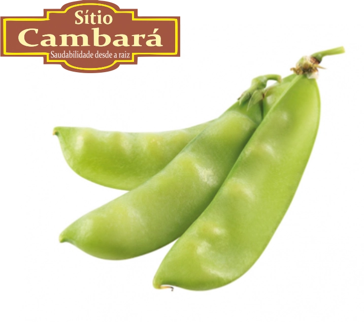 Ervilha Torta Org S Cambara 250g