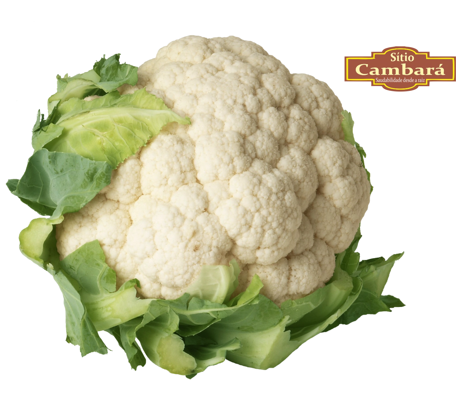 Couve Flor Org S Cambara 250g