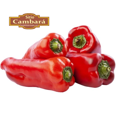 Pimentao Vermelho S Cambara Org 500g