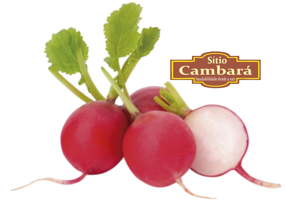 Rabanete S Cambara Organico 400gr