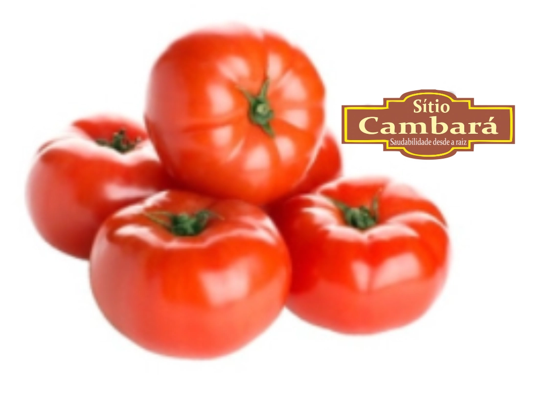 Tomate Caqui Org S Cambara 500g