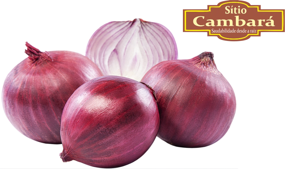 Cebola Roxa Org S Cambara 500gr
