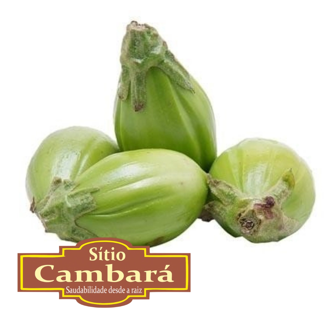 Jilo Organico S Cambara 300gr