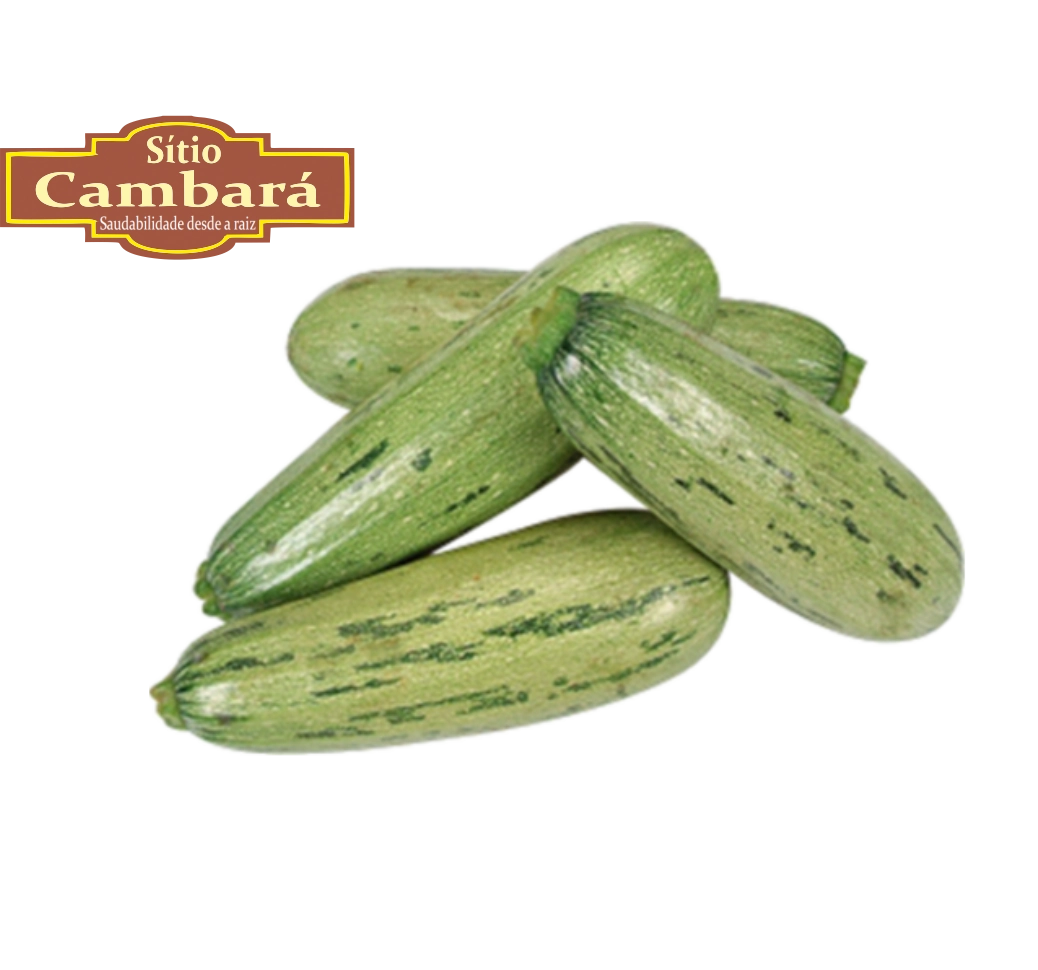 Abobora Italiana Org S Cambara 500g