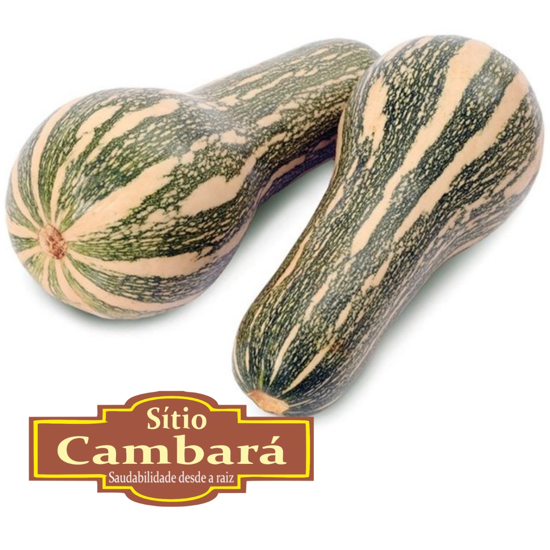 Abobora Paulista Org S Cambara 500g