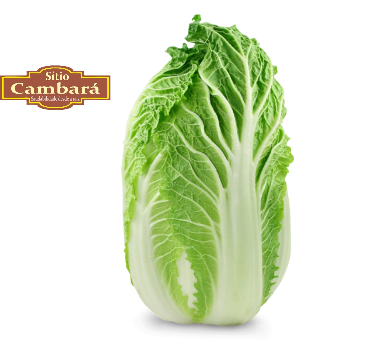 Acelga Sitio Cambara Organica 200g