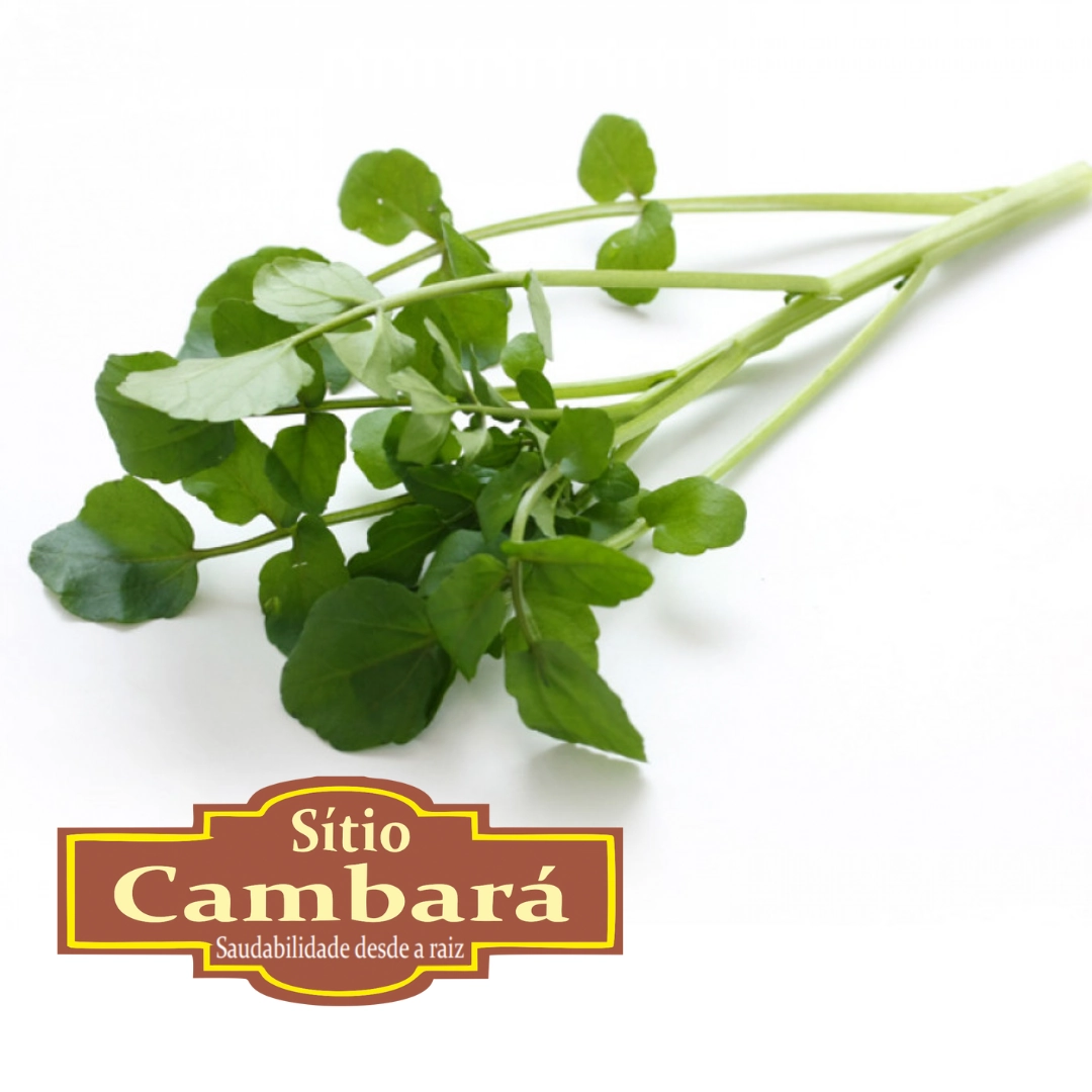 Agriao Sitio Cambara Organica 160g