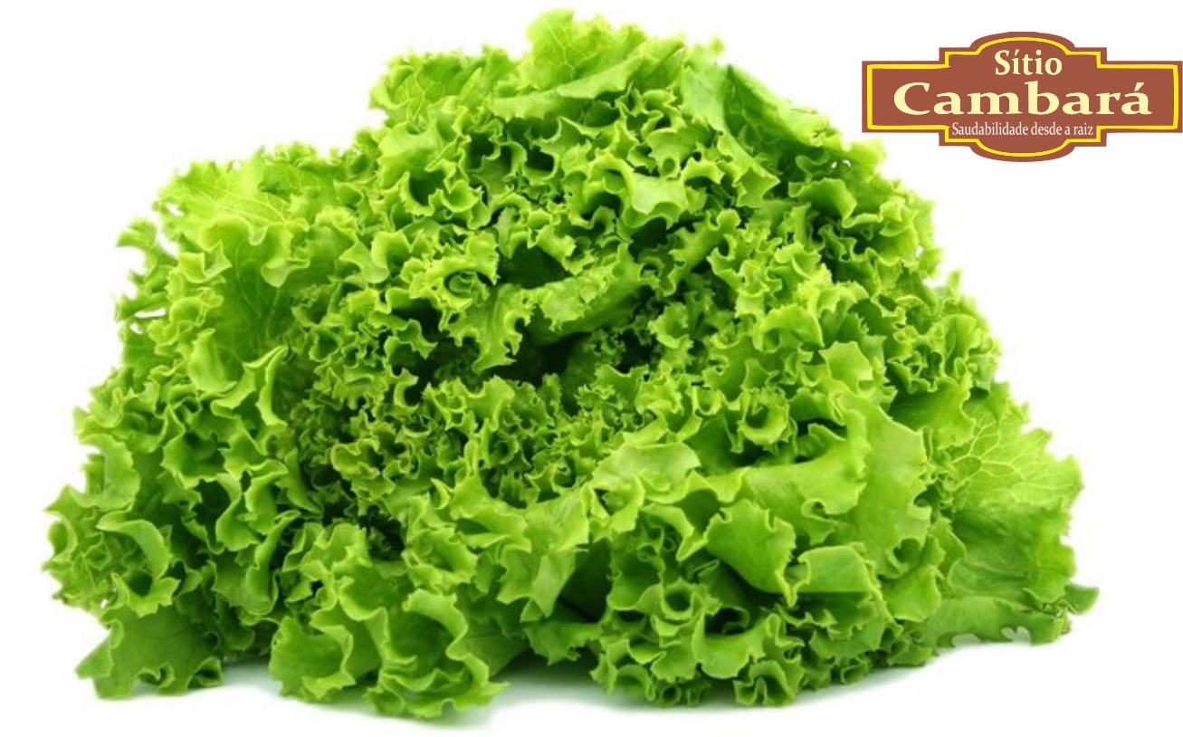 Alface Crespa Sitio Cambara Organica 160g