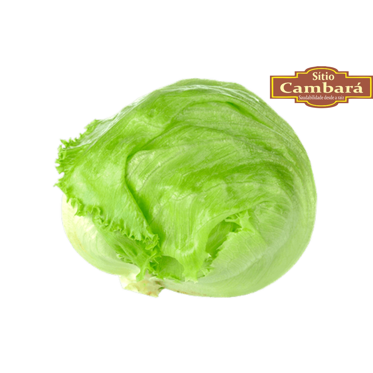 Alface Americana Sitio Cambara Organica 200g