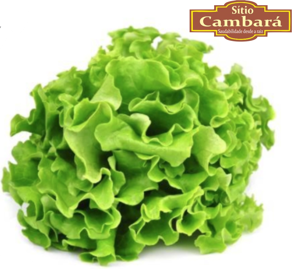 Alface Mimosa Sitio Cambara Organica 160g