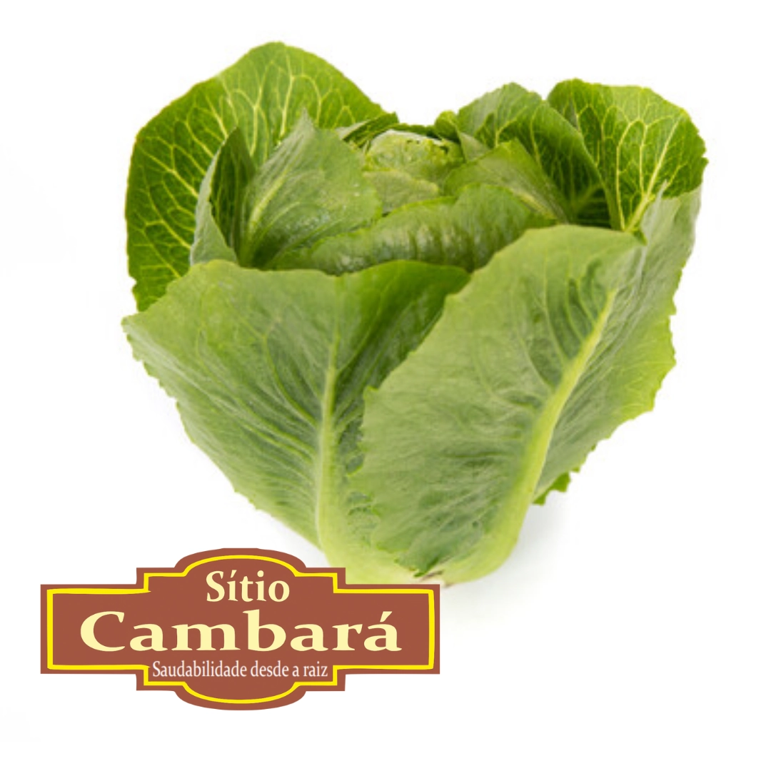 Alface Tendita Sitio Cambara Organica 160g