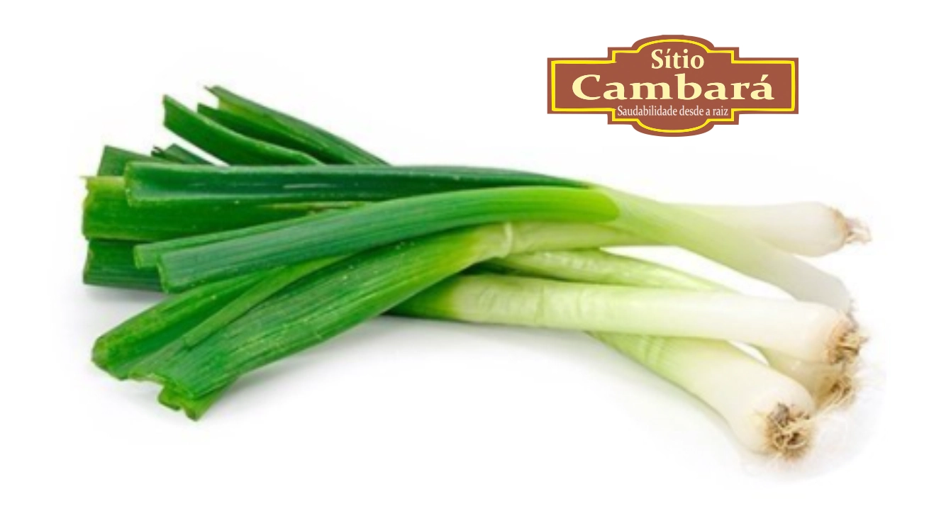 Alho Poro Sitio Cambara Organica 200g