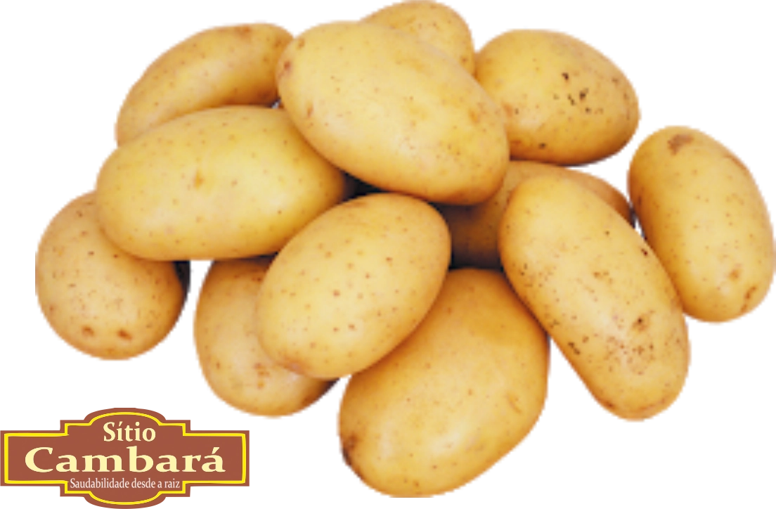 Batata Lavada Sitio Cambara Organica 500g