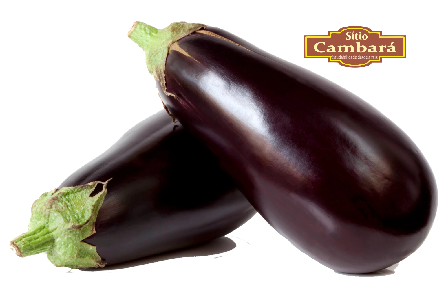 Berinjela Sitio Cambara Organico 500g