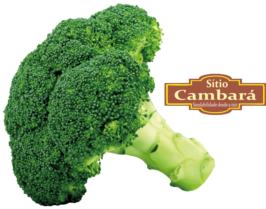 Brocolis Comum Sitio Cambara Organica 400g