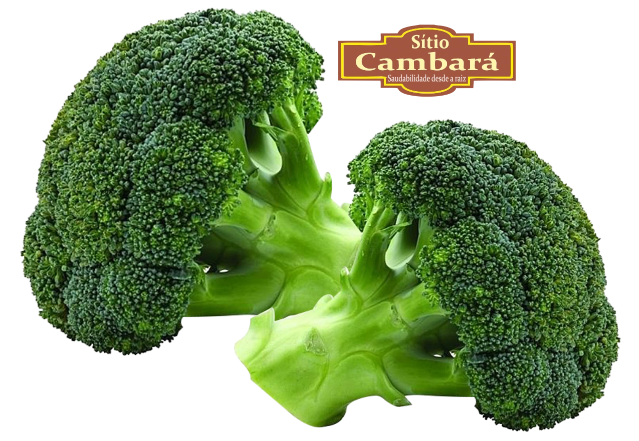 Brocolis Ninja Sitio Cambara Organica 200g