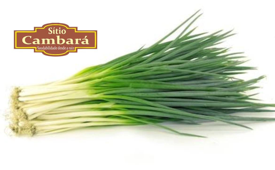 Cebolinha Sitio Cambara Organica 60g