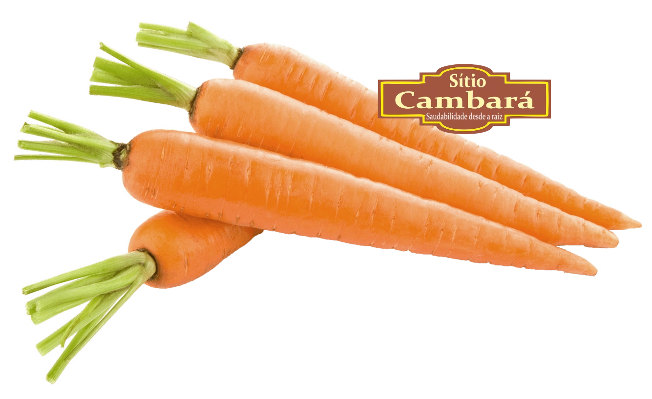 Cenoura Sitio Cambara Organica 500g