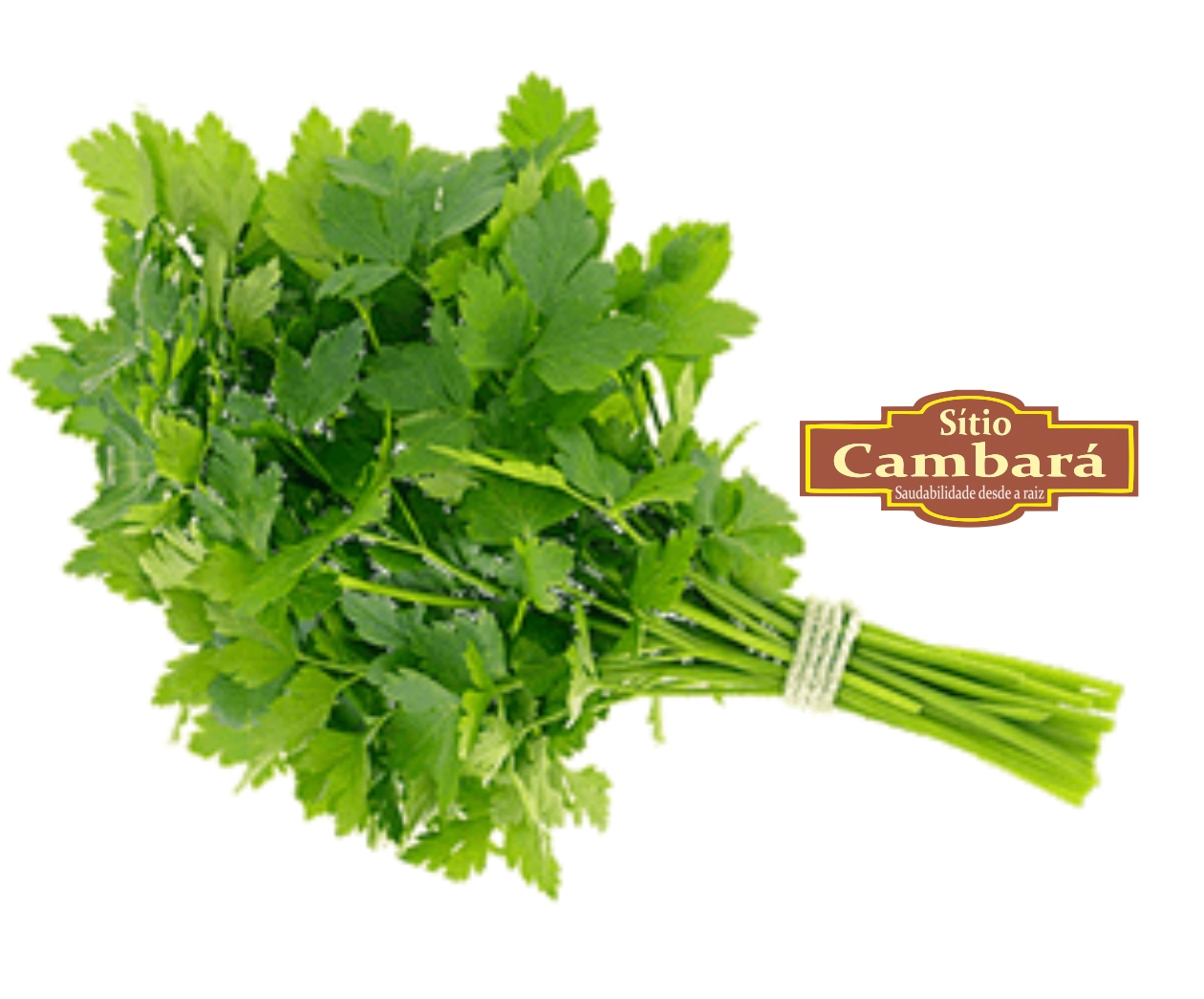 Cheiro Verde Sitio Cambara Organico 60g