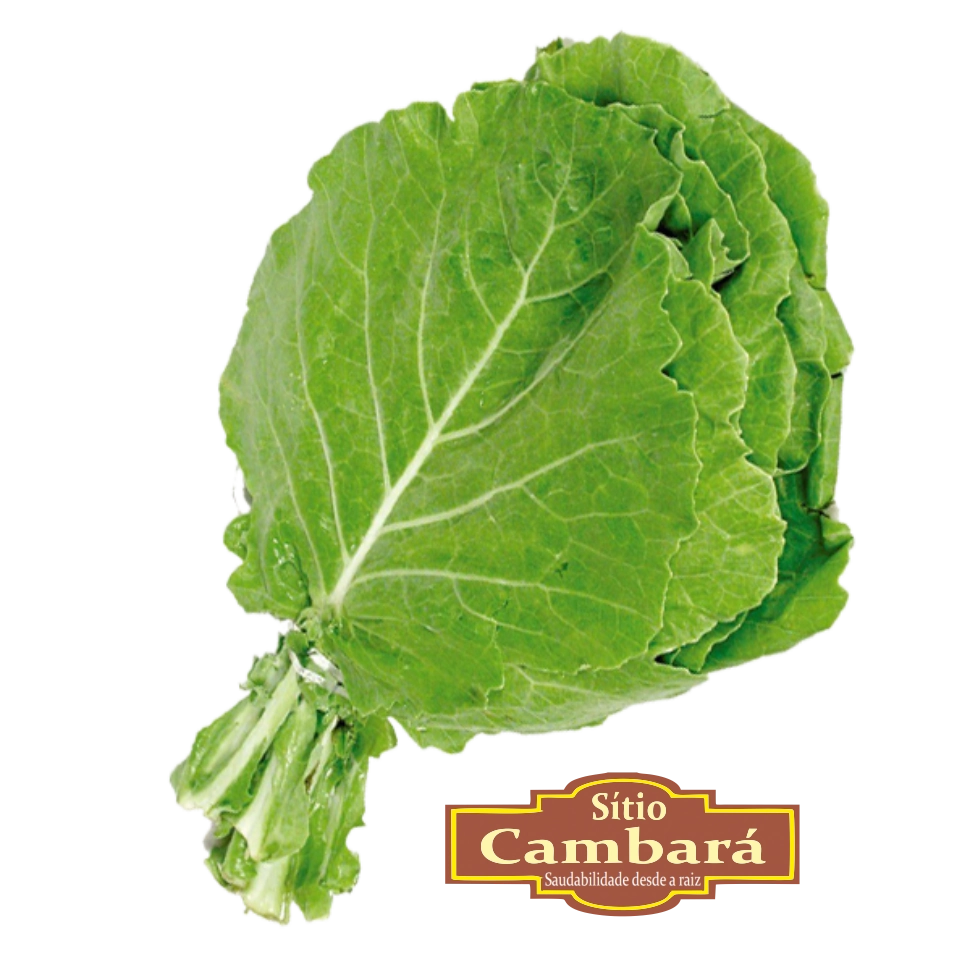 Couve Manteiga Sitio Cambara Organica 200g