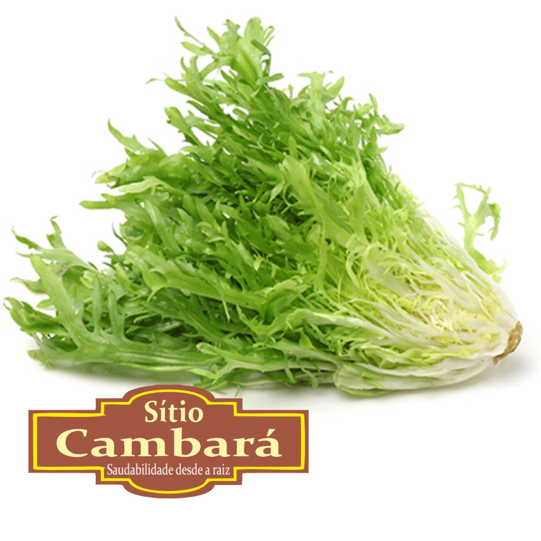 Escarola Sitio Cambara Organico 160g