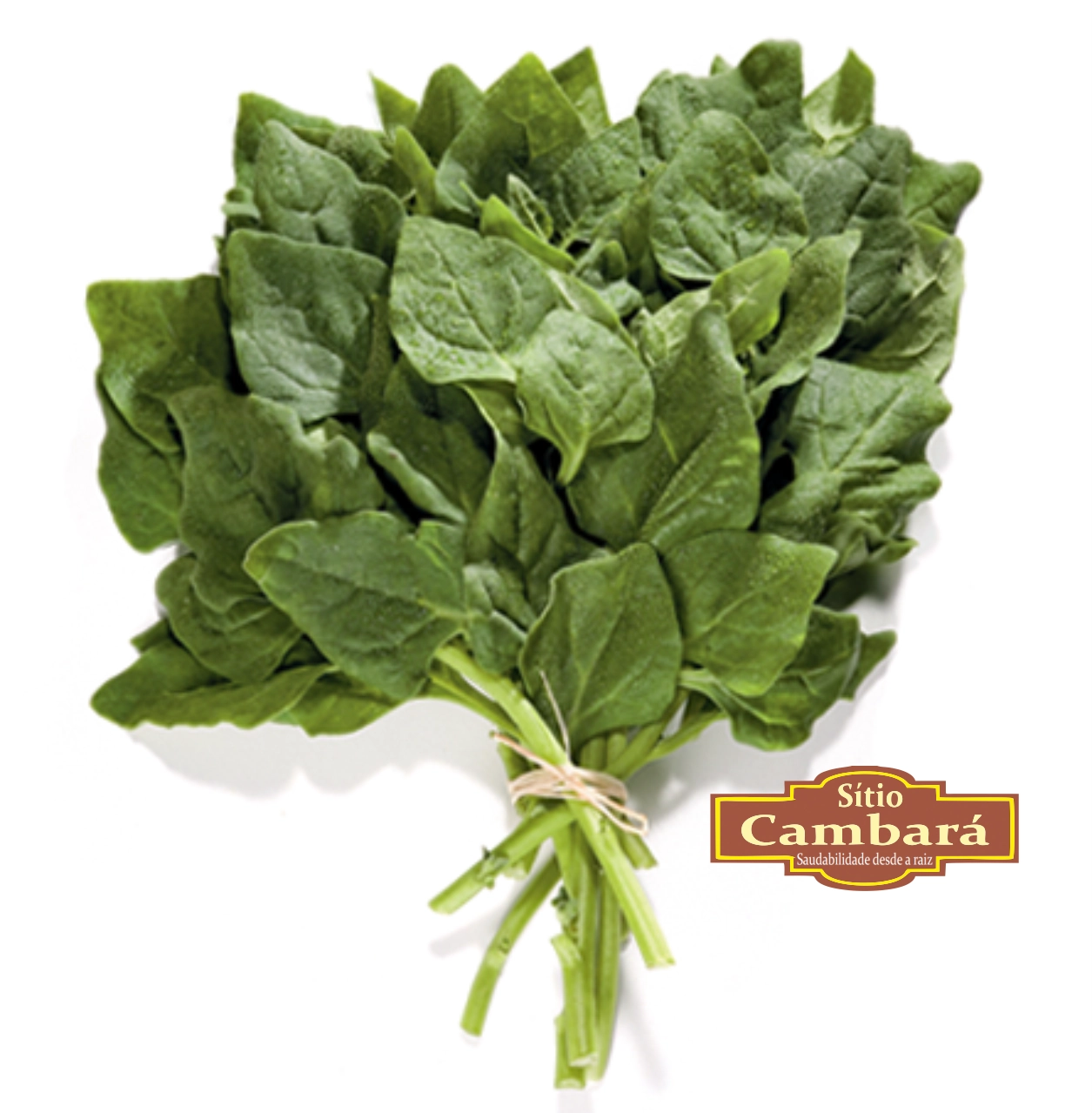 Espinafre Org S Cambara 250g
