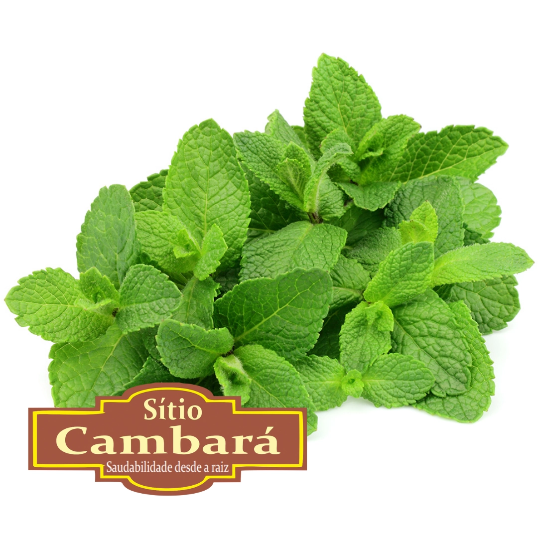 Hortela Org S Cambara 30g