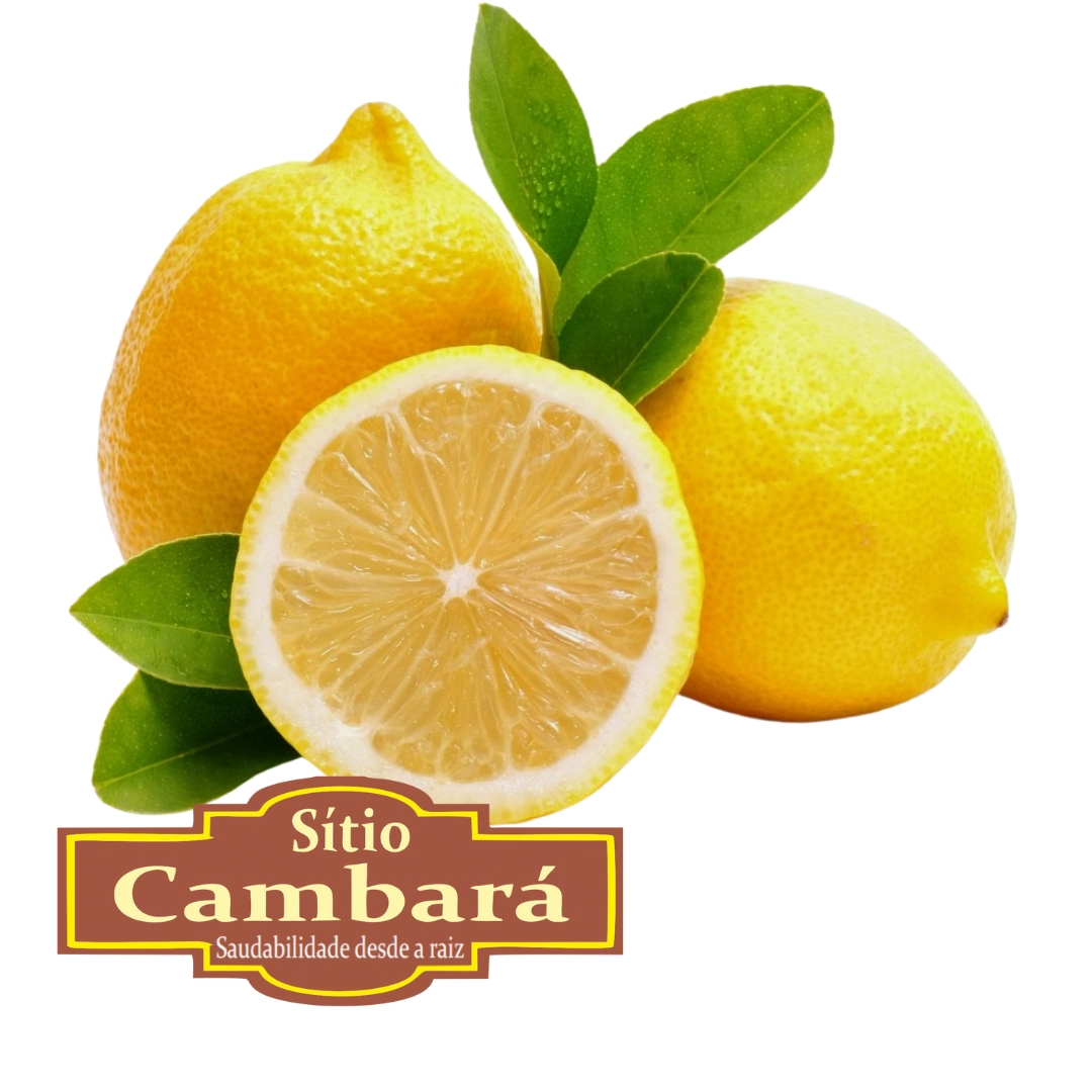 Limao Sicilianoorganico S Cambara 500gr