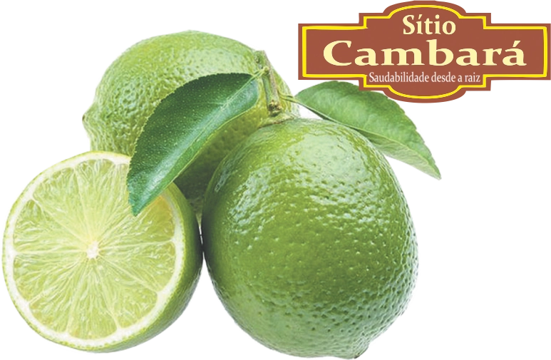 Limao Tahiti S Cambara Org 500g