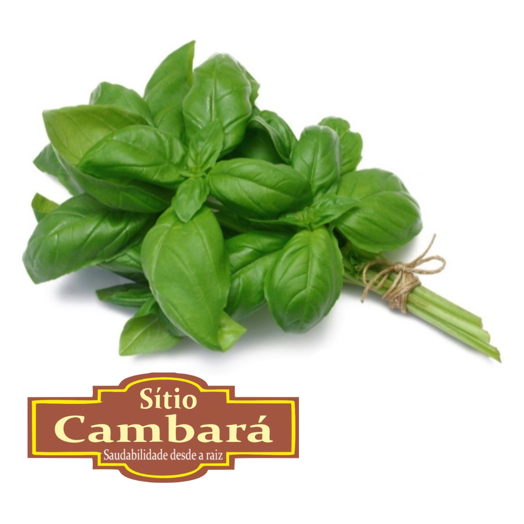 Manjericao Org Sitio Cambara 80g