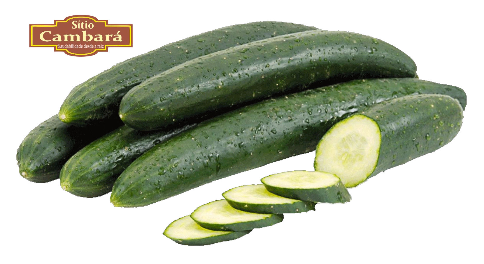 Pepino Japones Sitio Cambara Organico 500g