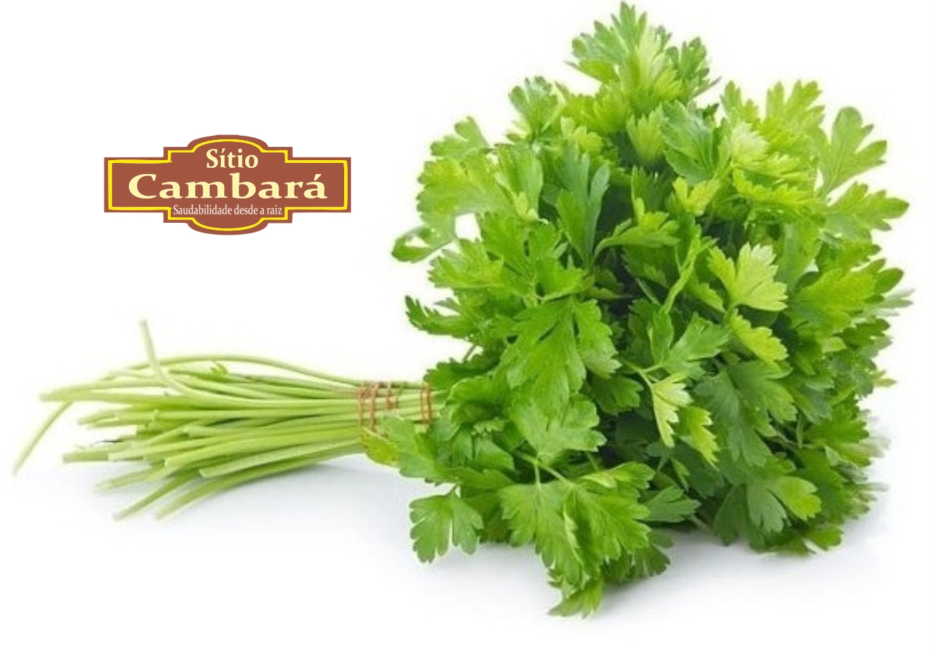 Salsa Sitio Cambara Organica 60g