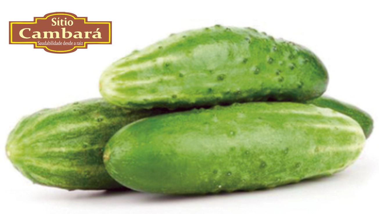 Pepino Caipira Org S Cambara 500g