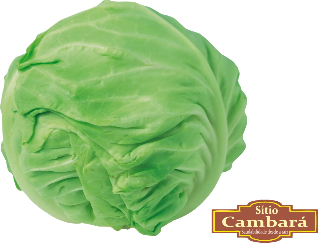 Repolho Verde Sitio Cambara Organico 600g