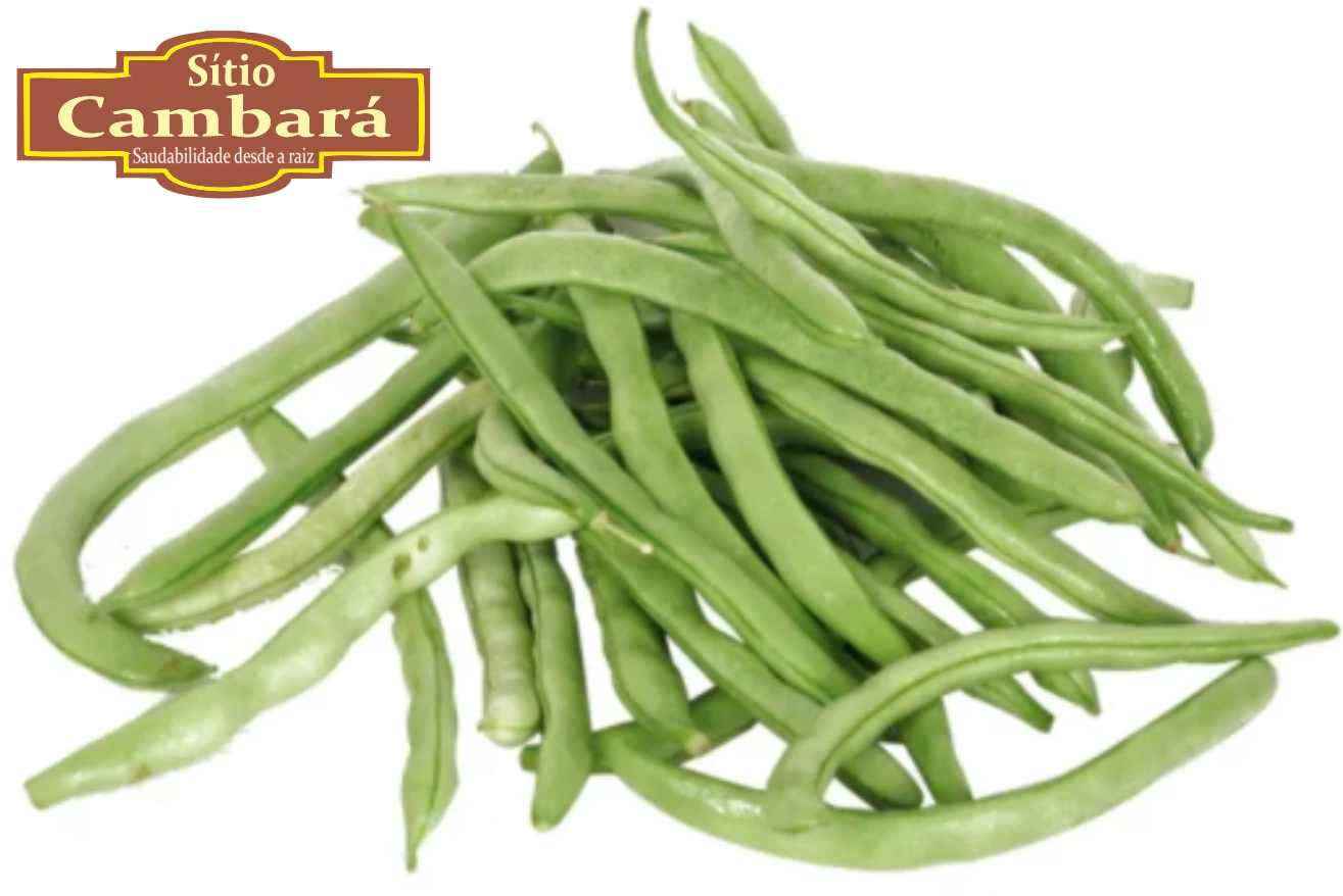 Vagem Macarrao Org S Cambara 300g
