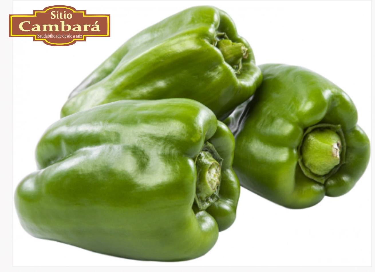 Pimentao Verde Sitio Cambara Organico 300g