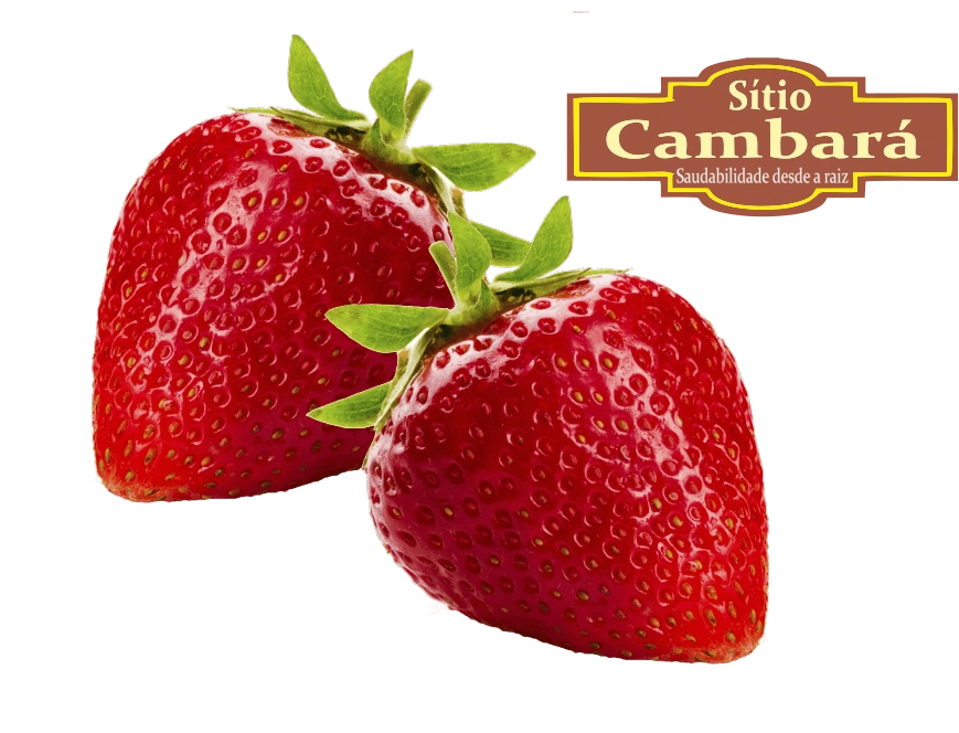 Morango Sitio Cambara Organico 200g