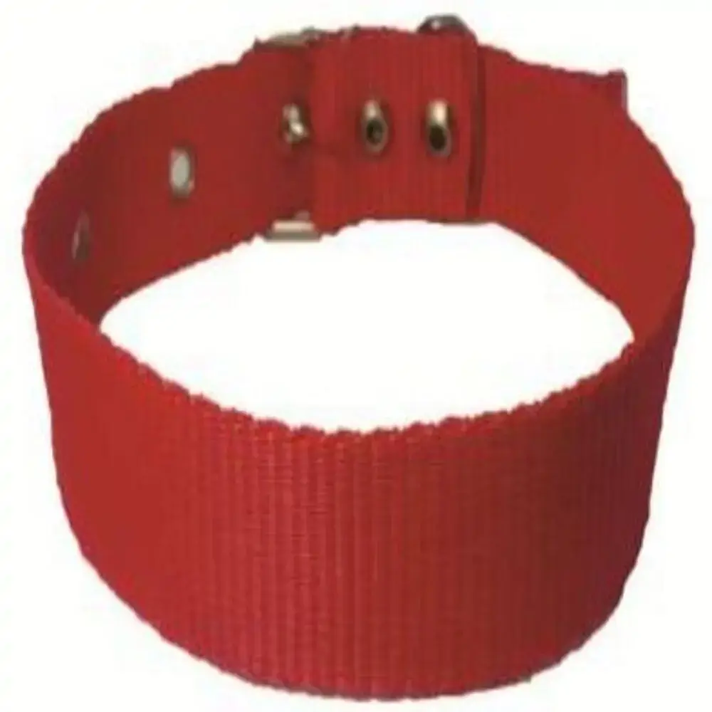 Coleira De Nylon Simples N 0 Deg