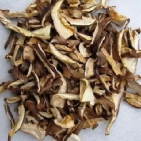 Cogumelo Shitake Fresco