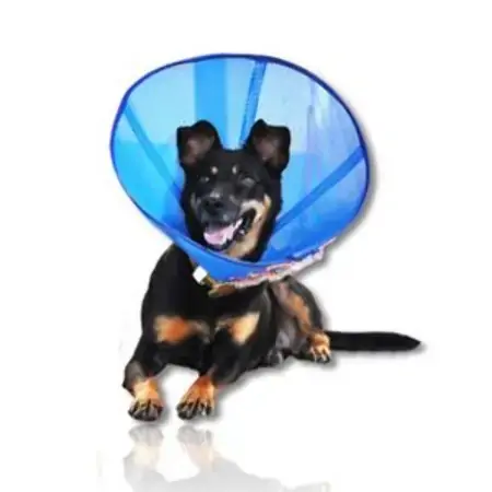 Colar Vestflex N. 05 Vestdog