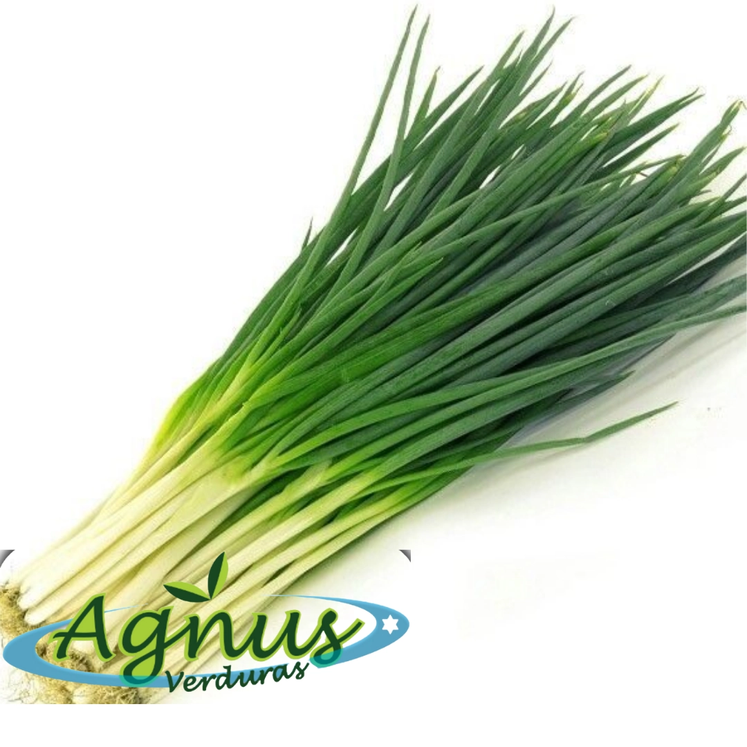 Cebolinha Agnus Unidade