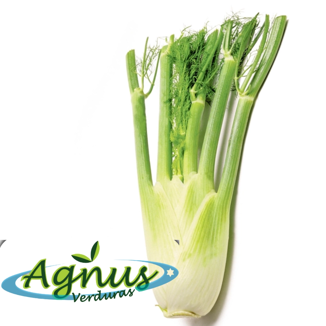 Erva Doce Agnus Unidade