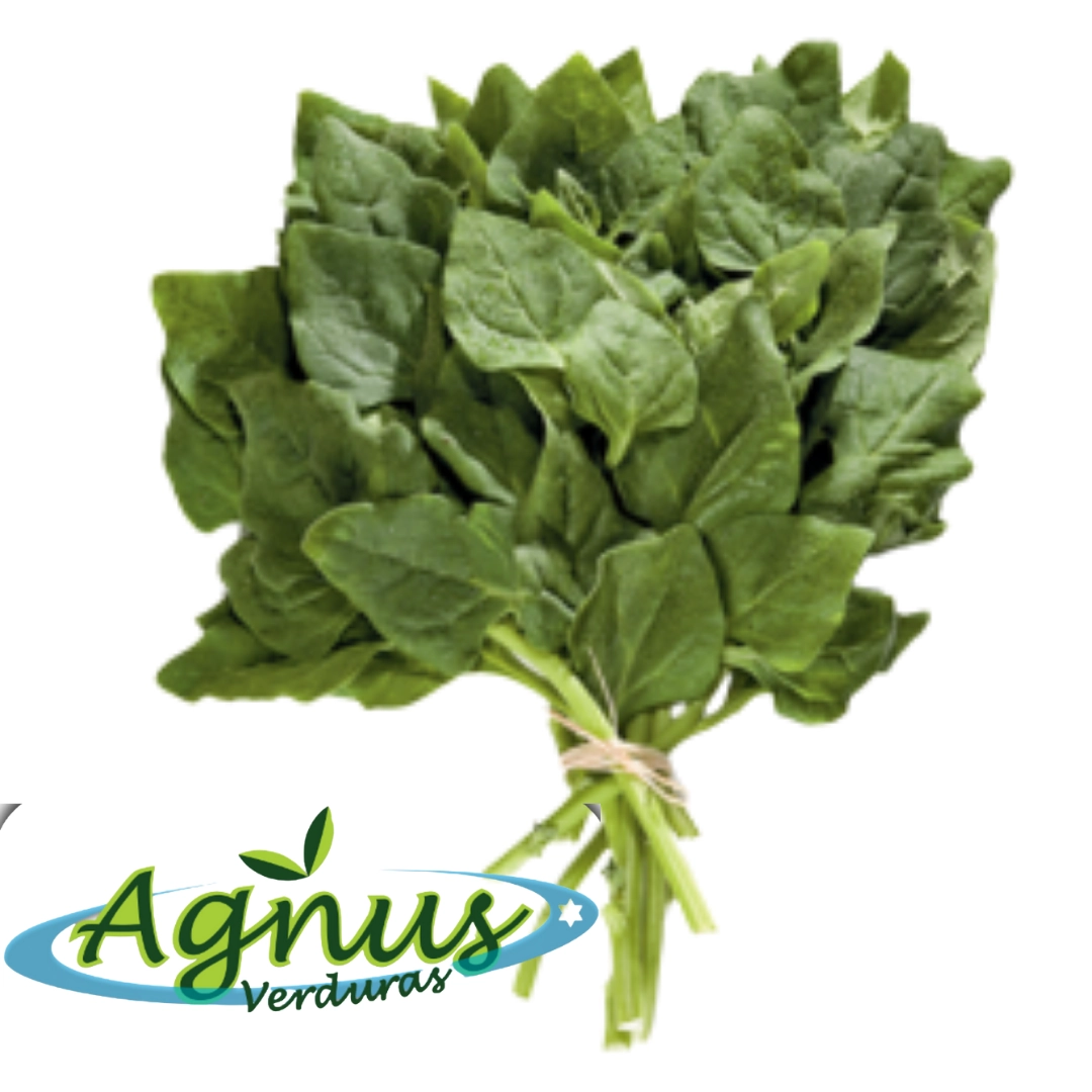 Espinafre Agnus Un