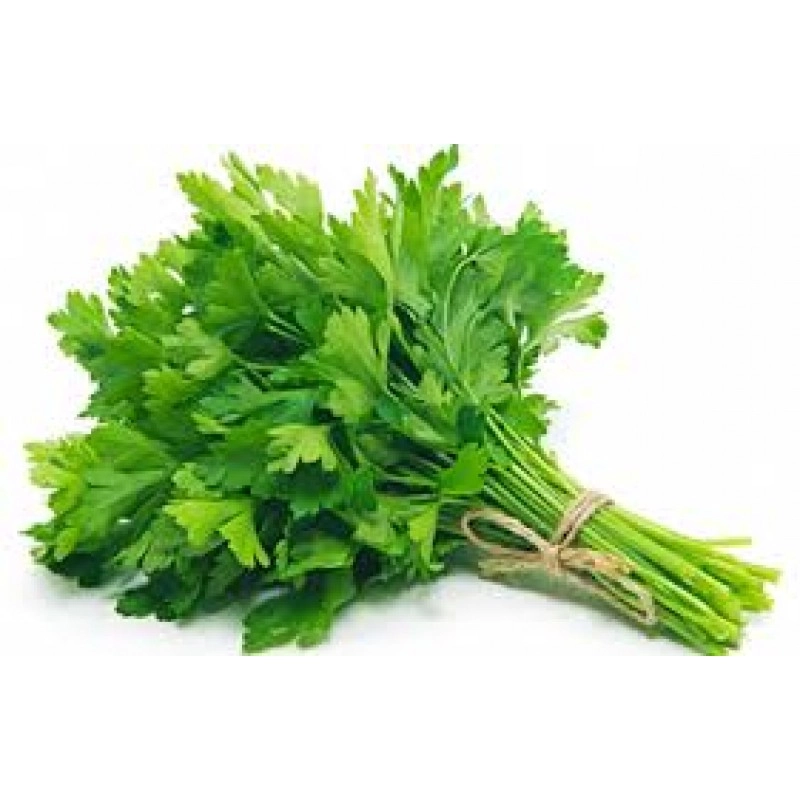 Salsao Agnus Un